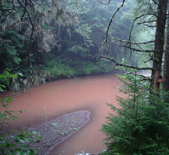 Siltation following heavy rain observed in Eatonville Brook...
