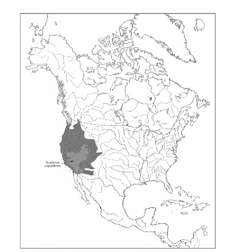 Map of the global distribution of the Speckled Dace (see long description below)