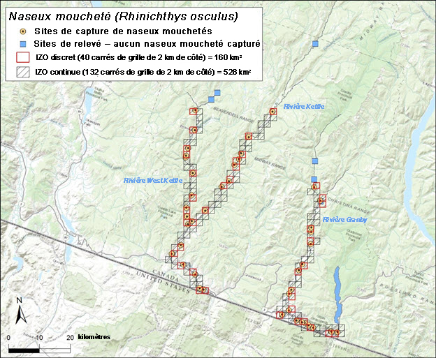 Carte de l’aire de répartition du naseux moucheté au Canada (voir longue description ci-dessous)
