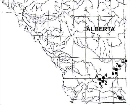 Figure 4 (revised). Canadian distribution of small-flowered sand-verbena.