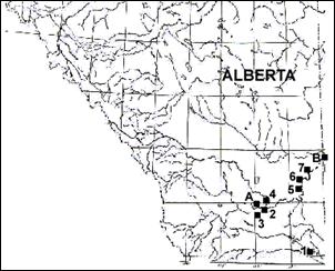 Figure 4 (mise à jour). Répartition de l’abronie à petites fleurs au Canada.