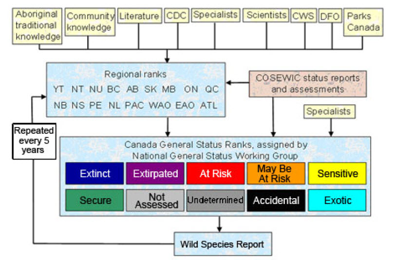 Diagram (see long description below)