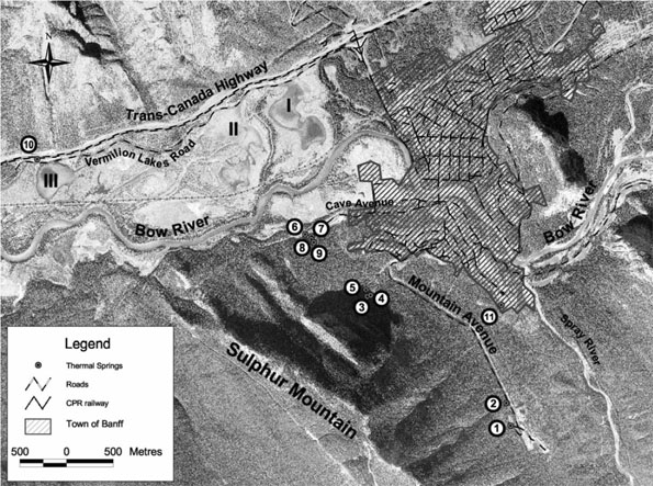 Figure 5. Historic distribution of Physella johnsoni, the Banff Springs Snail, in thermal springs near the Town of Banff, Banff National Park, Alberta