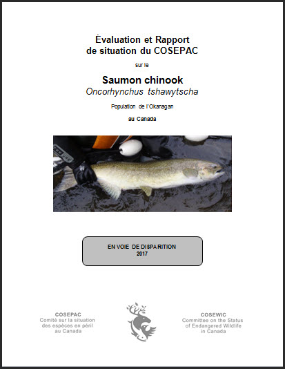 Évaluation et rapport de situation du COSEPAC sur le Saumon chinook