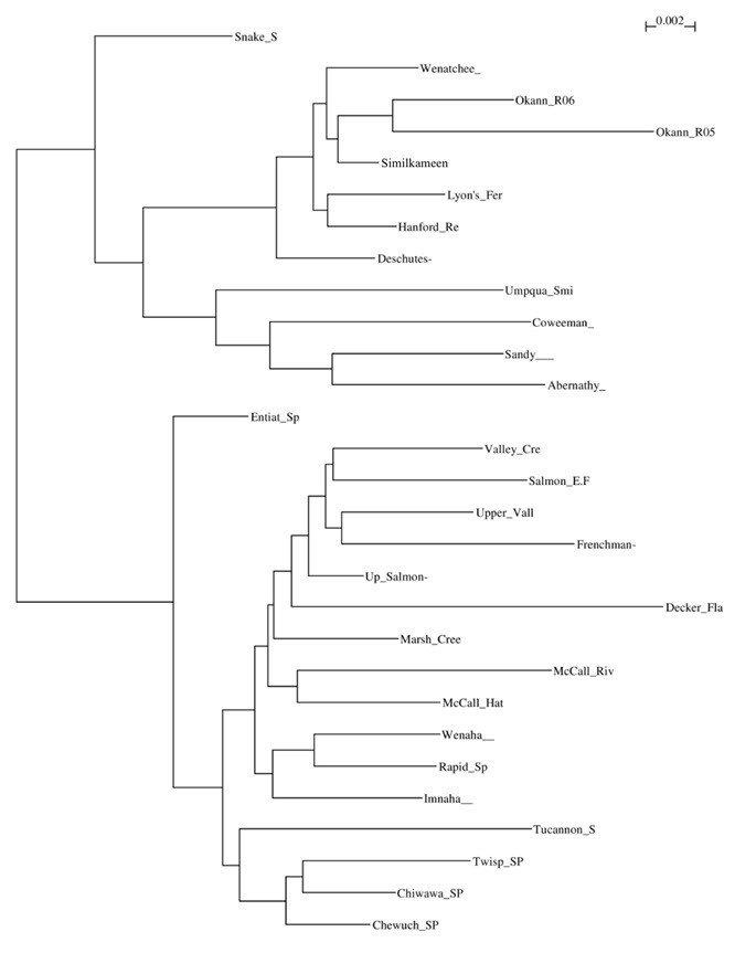 Dendrogramme de voisinage génétique de  Cavalli-Sforza et Edwards (1967)