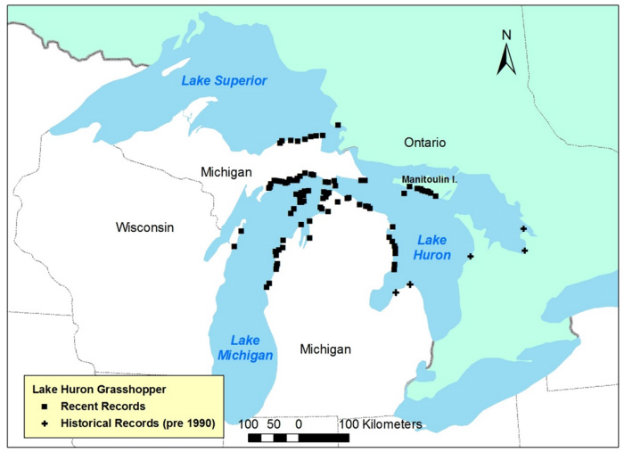 Map showing Global range of Lake Huron Grasshopper. 