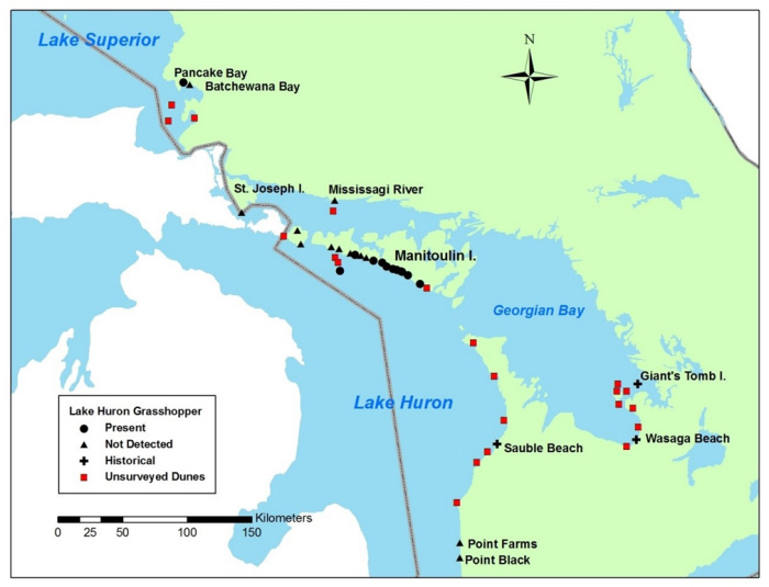 Map showing Canadian range of Lake Huron Grasshopper showing 2014 search effort