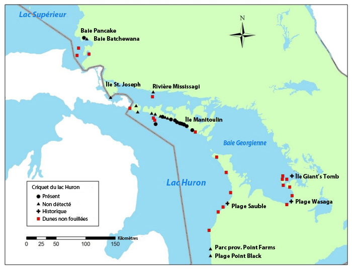 Carte montrant l'aire de répartition canadienne du criquet du lac Huron, qui englobe la baie Pancaket