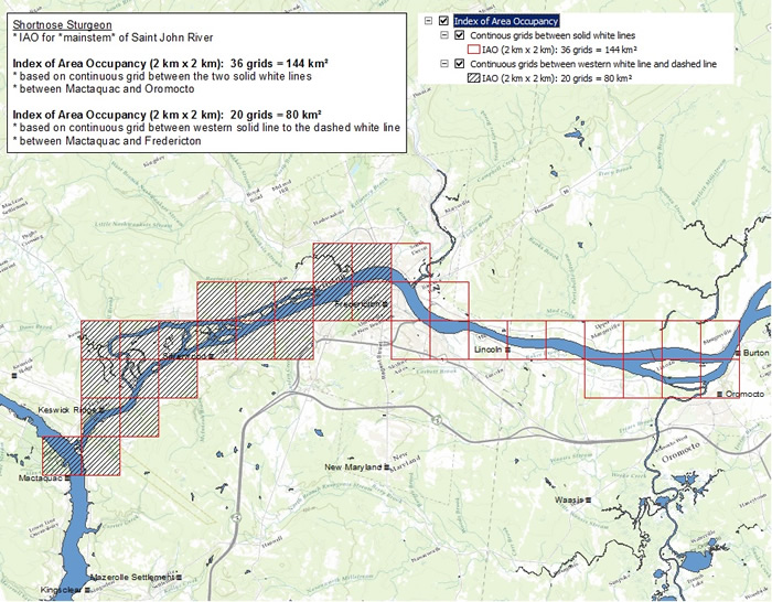 estimated index of area of occupancy of Shortnose Sturgeon in Canada