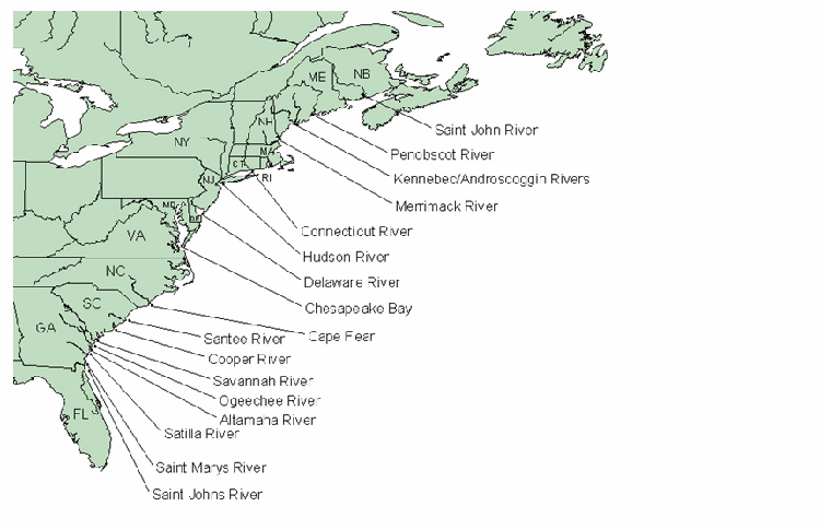 Distribution of the Shortnose Sturgeon in 17 of the 19 distinct population segment rivers in North America.