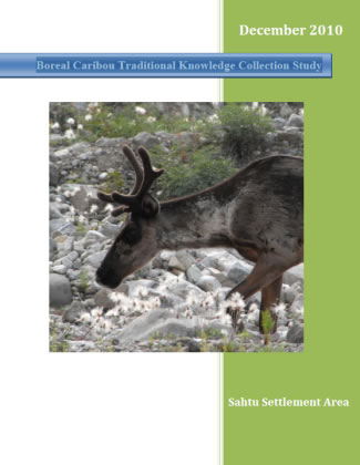 Image of Report Cover.
