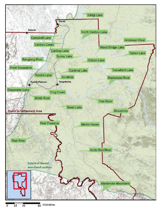 Carte de la région de règlement de Gwich'in illustrant la répartition du caribou boréal. Voir la description longue ci-dessous.