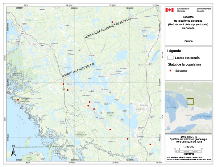 Localités de la bartonie paniculée au Canada