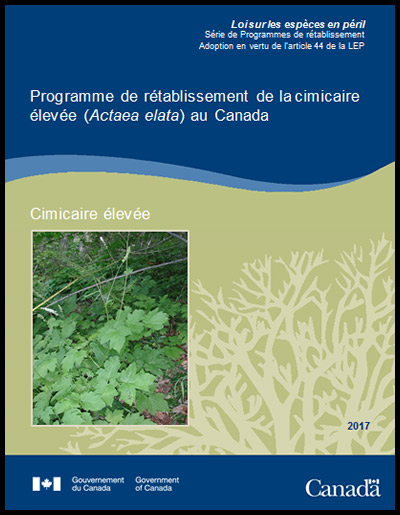 Photo de couverture de document