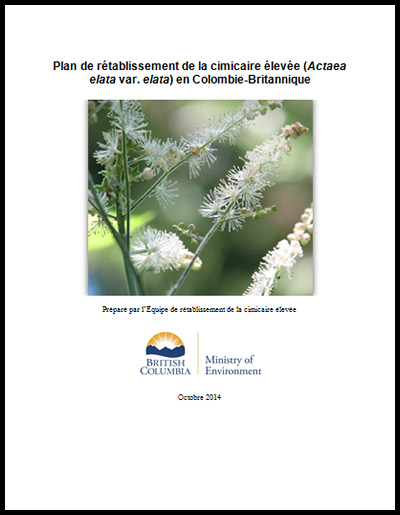 Photo de couverture partie 2 de document