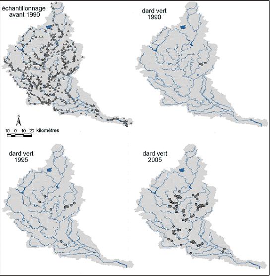 Figure 5. Répartition du dard vert (Etheostoma blennioides) dans le bassin hydrographique de la rivière Grand entre 1990 et 2005