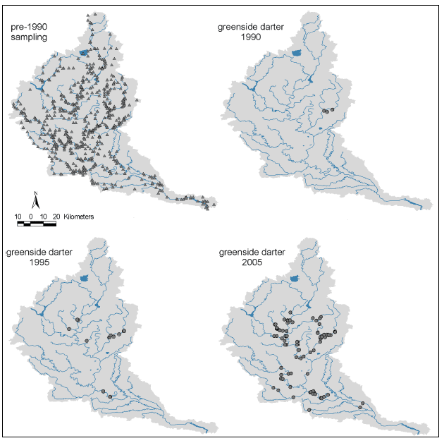 Figure 5. Spread of the greenside darter, Etheostoma blennioides, in the Grand Riverwatershed between 1990 and 2005. Upper left map shows fish sampling effort in the watershed prior to the first discovery of greenside darter in 1990.