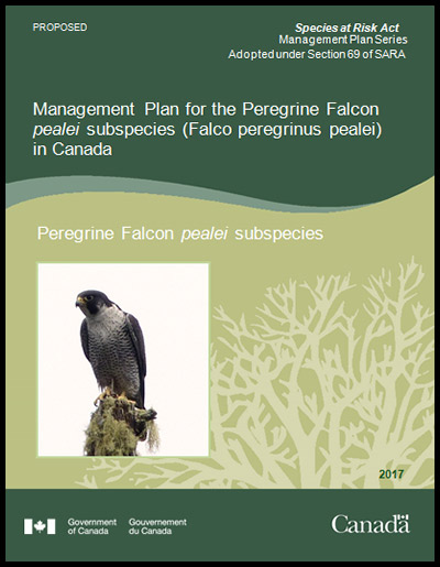 Photo of document cover