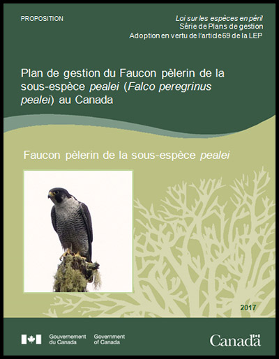 Photo de couverture de document