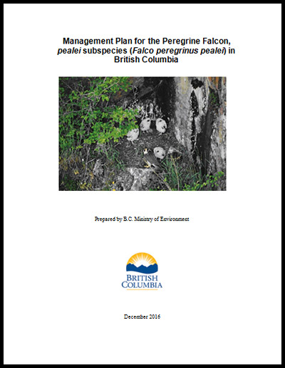 Photo of document cover