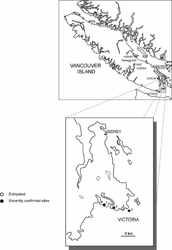 Figure 3: Canadian distribution of Lupinus densiflorus.