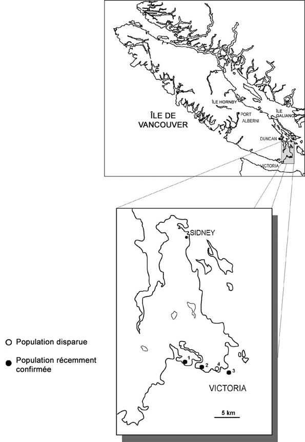 Figure 3 : Répartition canadienne du Lupinus densiflorus.