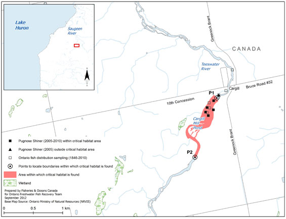Figure 4. Area within which critical habitat is found for the Pugnose Shiner in the Teeswater River. (See long description below)