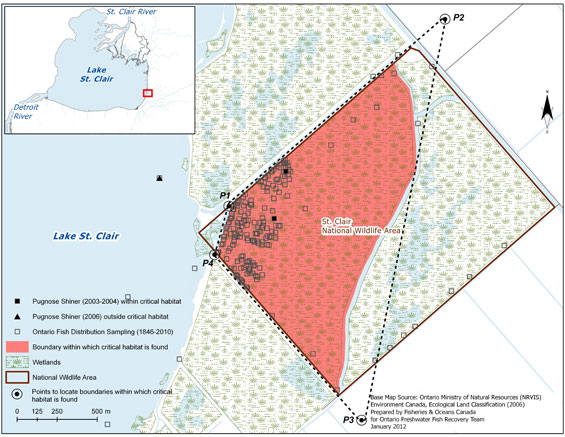 Figure 7. Area within which critical habitat is found for the Pugnose Shiner in the St. Clair National Wildlife Area. (See long description below)