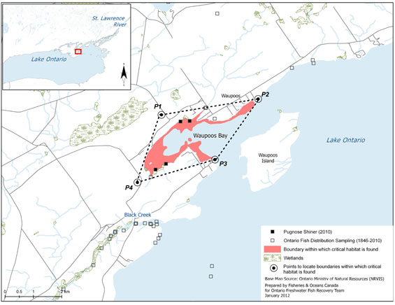 Figure 12. Area within which critical habitat is found for the Pugnose Shiner in Waupoos Bay. (See long description below)