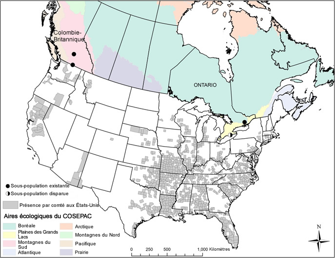 Répartition du rotala rameux en Amérique du Nord