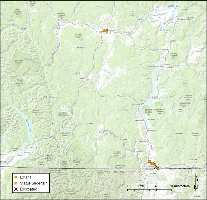 Locations of Toothcup in British Columbia.