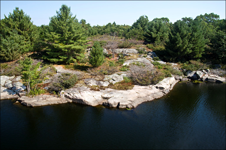 Oblique view of exposed rocky shoreline habitat
