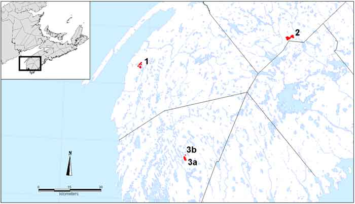 Distribution of Sweet Pepperbush (Clethra alnifolia; red dots) in Nova Scotia