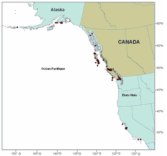 Figure 1. Observations d’épaulards du large dans les eaux côtières du Pacifique de l’Amérique du Nord entre 1988 et 2007 (MPO-PRC, données non publiées).