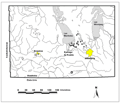Figure 3.Répartition de l’Agalinis aspera au Manitoba