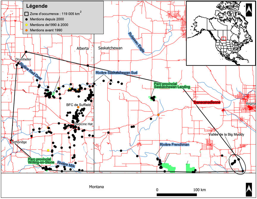 Appendix 1. Estimated extent of occurrence (EOO) of Bullsnake