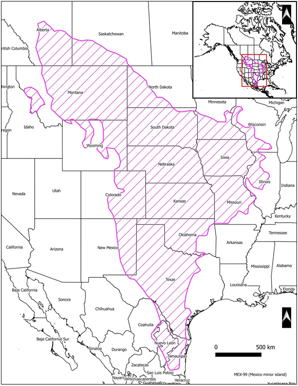 North American range of  Bullsnake