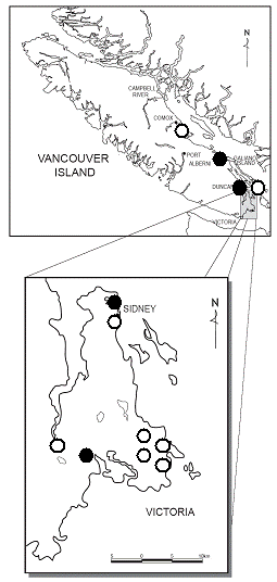 Figure 3.  Canadian distribution of Epilobium densiflorum (solid black circles indicate extant populations; open circles represent extirpated populations).