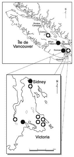 Figure 3.    Répartition canadienne de l’Epilobium densiflorum (les cercles noirs indiquent les populations existantes, les cercles blancs indiquent les populations disparues).