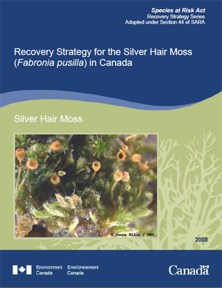 Species at Risk Act Recovery Strategy Series Recovery Strategy for the Silver Hair Moss in Canada.