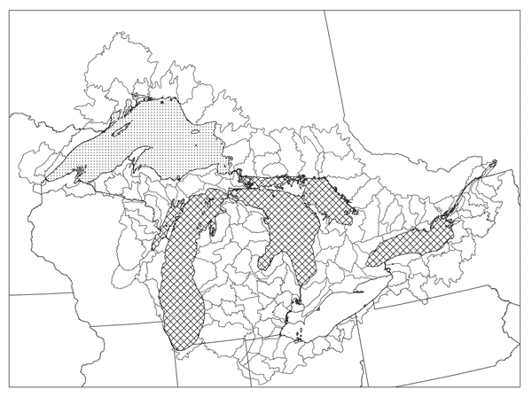Figure 2.&nbsp; Global distribution of the kiyi, Coregonus kiyi. Fine dots represent lake in which it is extant. Cross-hatching represents lakes in which it is extirpated.