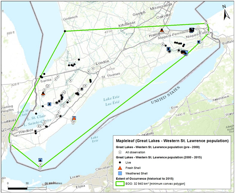 Total distribution of Quadrula quadrula in Ontario