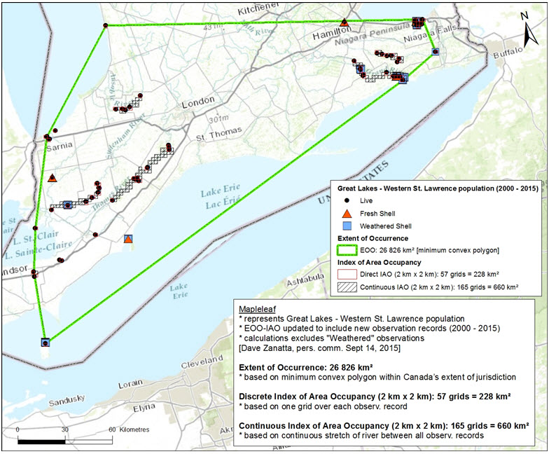 Figure 5. Current distribution of Quadrula quadrula in Ontario based on records and surveys from 2000-2015