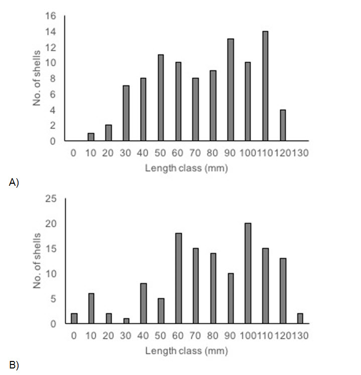 Size class distribution for live Quadrula quadrula