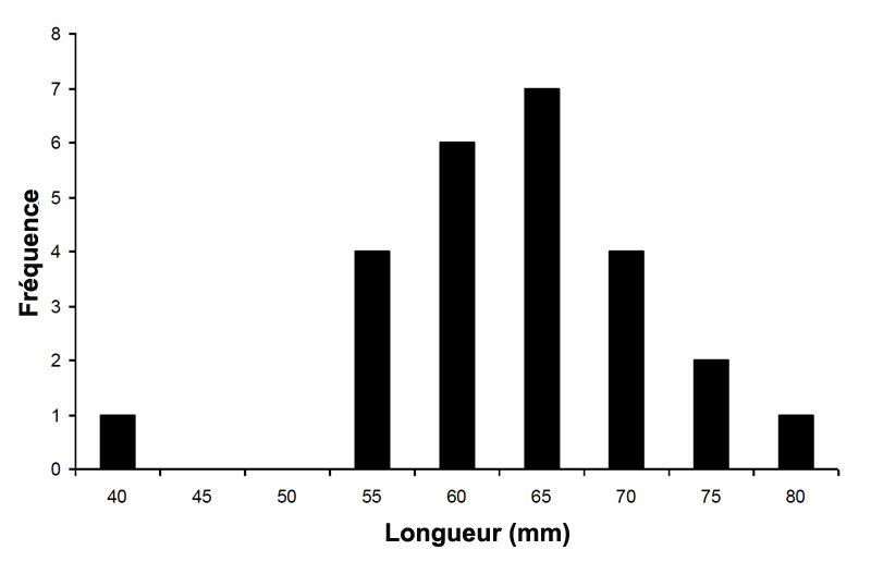 Répartition de la fréquence des tailles chez les Q. quadrula vivants (n = 26) prélevés dans le cadre de relevés minutés dans la rivière Ruscom