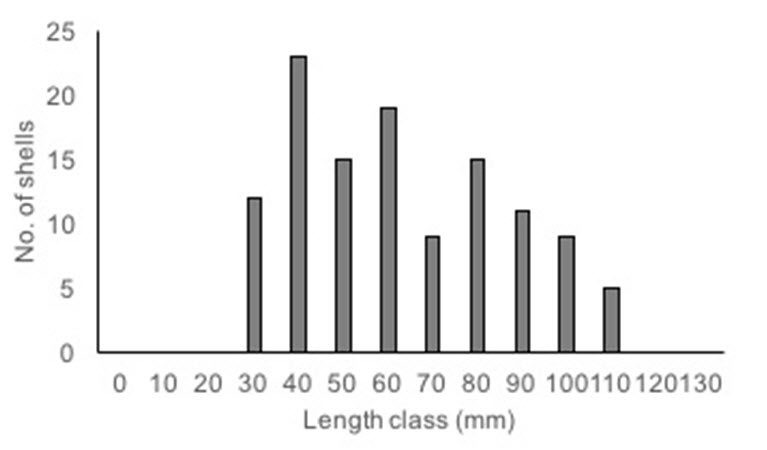 Size class distribution for live Quadrula quadrula collected from across its range in Manitoba