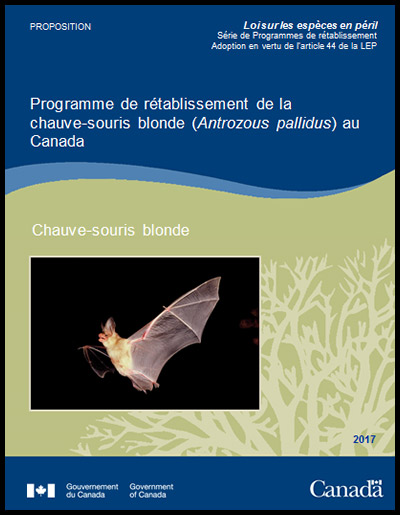 Photo de couverture partie 2 de document