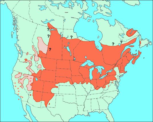 Map showing the distribution of the Northern Leopard Frog in North America.