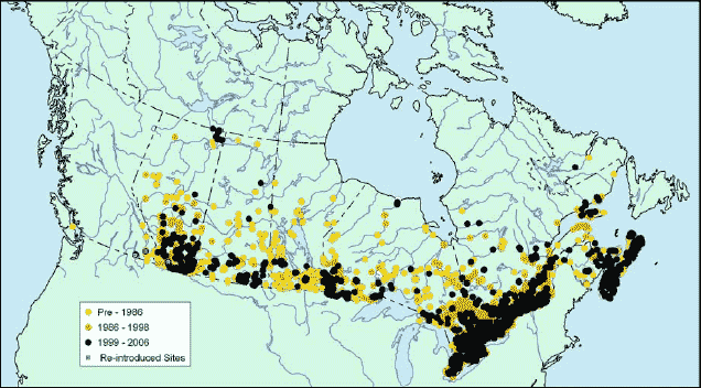 Map showing the distribution of the Northern Leopard Frog in Canada.