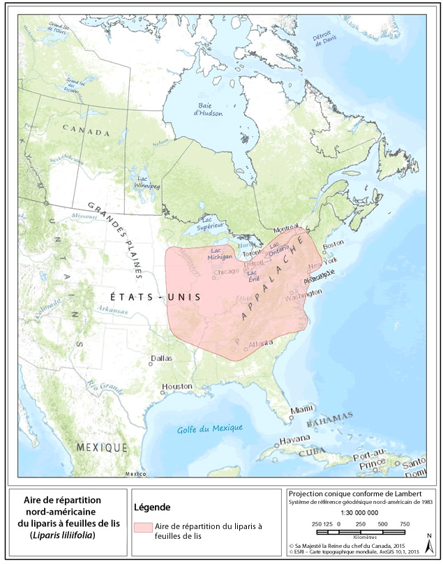 carte montre l'aire de répartition mondiale du liparis à feuilles de lis, située en Amérique du Nord